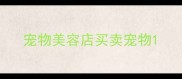 宠物美容店买卖宠物