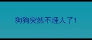 狗狗突然不理人了