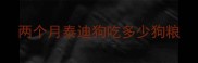 两个月泰迪狗吃多少狗粮