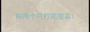 狗两个月打完疫苗