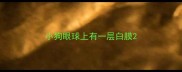 小狗眼球上有一层白膜