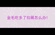 金毛吃多了拉稀怎么办
