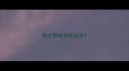 哈士奇幼犬吐白水