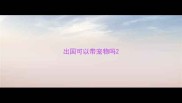 出国可以带宠物吗