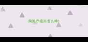 狗国产疫苗怎么样