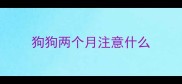 狗狗两个月注意什么
