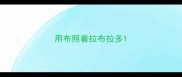 用布照着拉布拉多