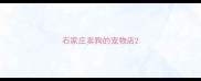 石家庄卖狗的宠物店