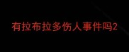 有拉布拉多伤人事件吗