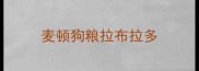 麦顿狗粮拉布拉多