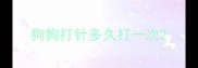 狗狗打针多久打一次