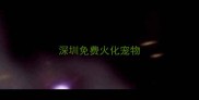 深圳免费火化宠物
