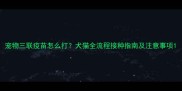 宠物三联疫苗怎么打犬猫全流程接种指南及注意事项