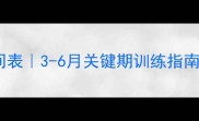 泰迪犬幼犬期定型时间表3-6月关键期训练指南附常见问题解答