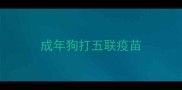 成年狗打五联疫苗