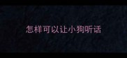 怎样可以让小狗听话