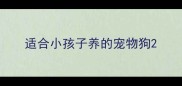 适合小孩子养的宠物狗