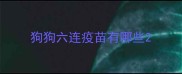 狗狗六连疫苗有哪些
