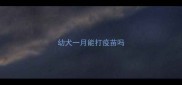 幼犬一月能打疫苗吗