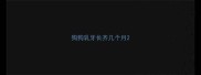 狗狗乳牙长齐几个月