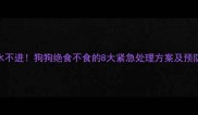 三天滴水不进狗狗绝食不食的8大紧急处理方案及预防措施全