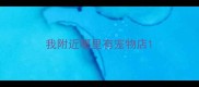 我附近哪里有宠物店