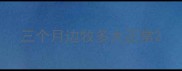 三个月边牧多大正常