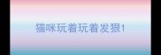 猫咪玩着玩着发狠