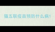 猫五联疫苗预防什么病