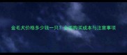 金毛犬价格多少钱一只全面购买成本与注意事项