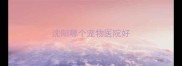 沈阳哪个宠物医院好