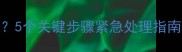 狗狗突然吐了怎么办5个关键步骤紧急处理指南附送护理全攻略