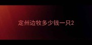 定州边牧多少钱一只