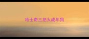 哈士奇三把火成年狗