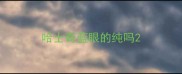 哈士奇蓝眼的纯吗