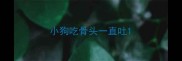 小狗吃骨头一直吐