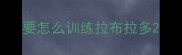 要怎么训练拉布拉多