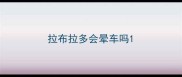 拉布拉多会晕车吗