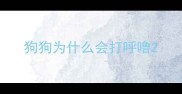 狗狗为什么会打呼噜