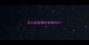 怎么给宠物吃宠物钙片