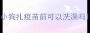 小狗扎疫苗前可以洗澡吗