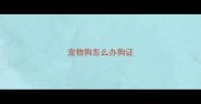 宠物狗怎么办狗证