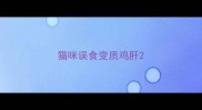 猫咪误食变质鸡肝