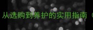 美系黑色拉布拉多全攻略从选购到养护的实用指南含健康管理与训练技巧