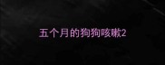 五个月的狗狗咳嗽