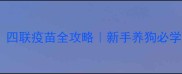 狗狗必看四联疫苗全攻略新手养狗必学的疫苗知识