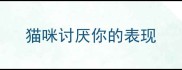 猫咪讨厌你的表现