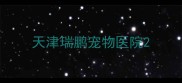 天津瑞鹏宠物医院