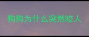 狗狗为什么突然咬人