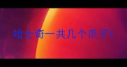 哈士奇一共几个爪子